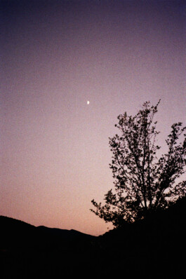 max feldhoff – fotografie