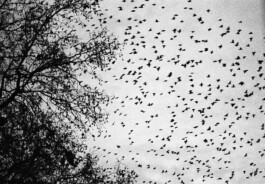 max feldhoff – fotografie