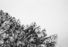 max feldhoff – fotografie