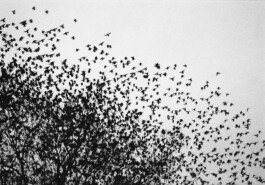 max feldhoff – fotografie