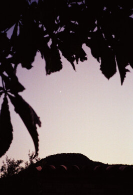 max feldhoff – fotografie