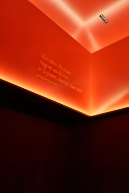 max feldhoff – fotografie