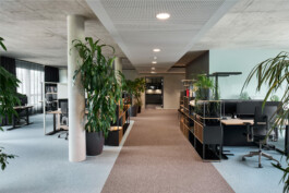 max feldhoff – fotografie