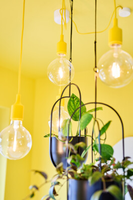 max feldhoff – fotografie